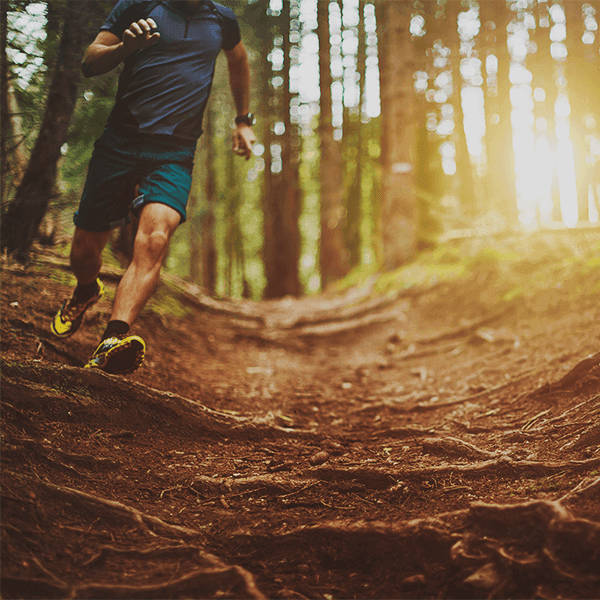Obrázek produktu nelze nalézt. Běžte si pro něj!